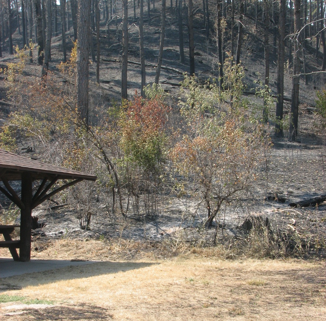 Burned Banding Station