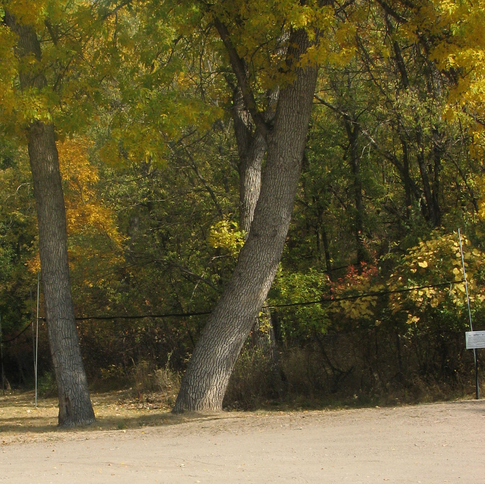 New Chadron Banding Station