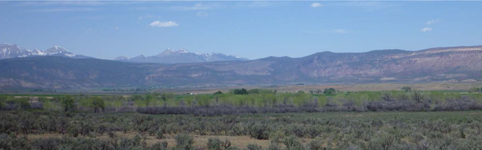 Bedrock BioBlitz Property