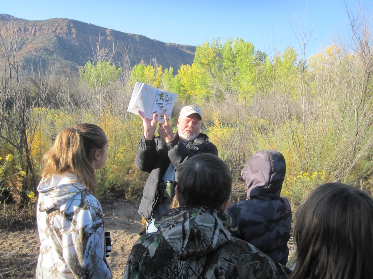 Walking Bird Survey