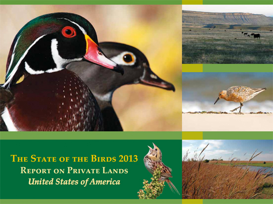 2013 State of the Birds