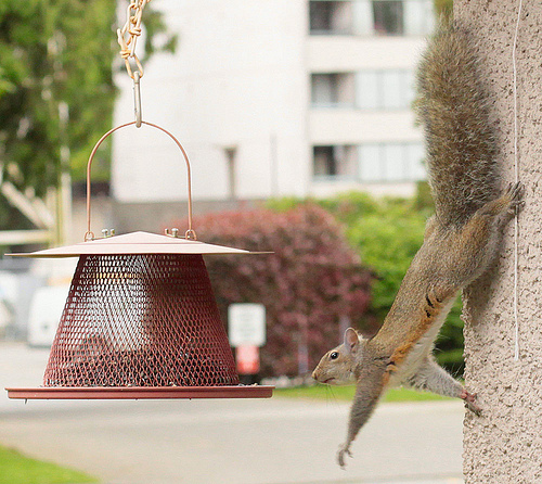 Taking a Swing