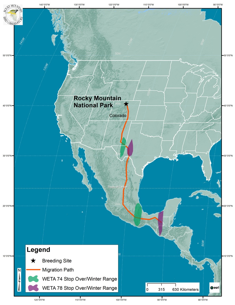 Western Tanager Migration Map