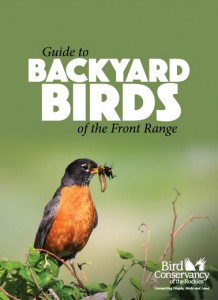 Backyard-Birds-Cover-EDITED for PoP