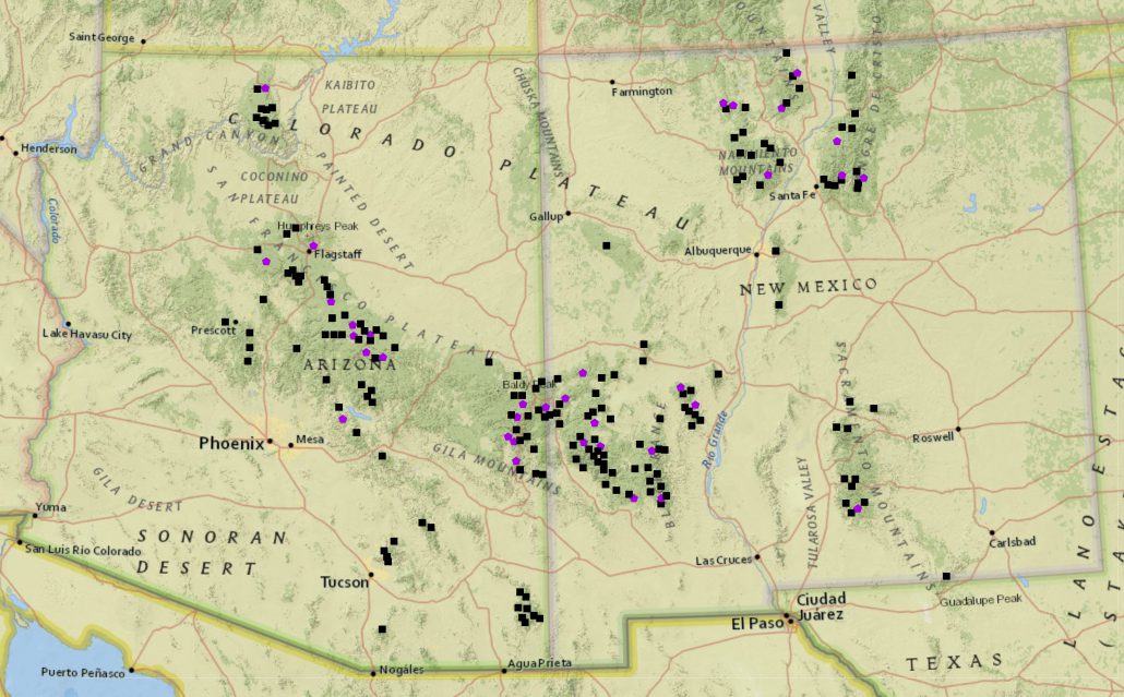 The distribution of 200 sampling units for the Mexican Spotted Owl occupancy monitoring project in Arizona and New Mexico. The spatially balanced, random sample of sites to be included in the acoustic monitoring program are marked by purple pentagons. Symbols are not to scale. 