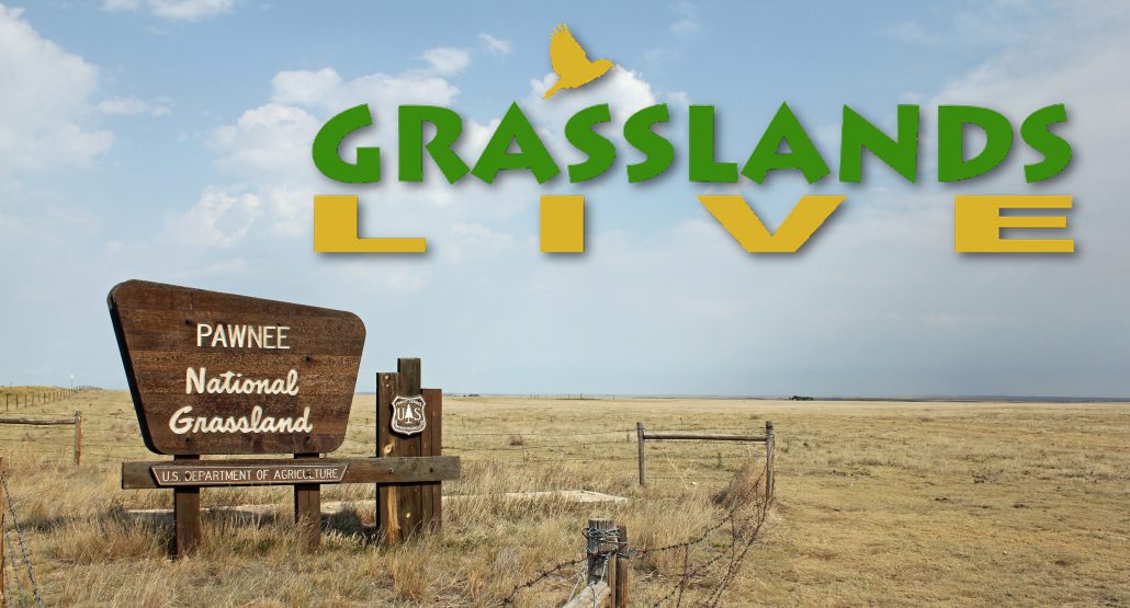 Grasslands LIVE Pawnee
