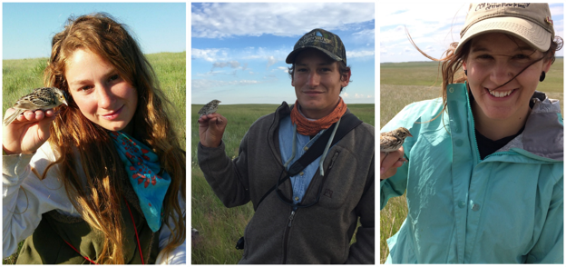 Northern Great Plains Grassland Bird Crew Leads. Pictured from left to right: Nicole Guido, Sasha Robinson, and Kelsey Bell. 