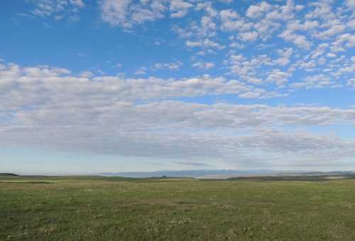 Soapstone Prairie Natural Area north of Fort Collins is a haven for grassland birds. Photo: Denis Perez