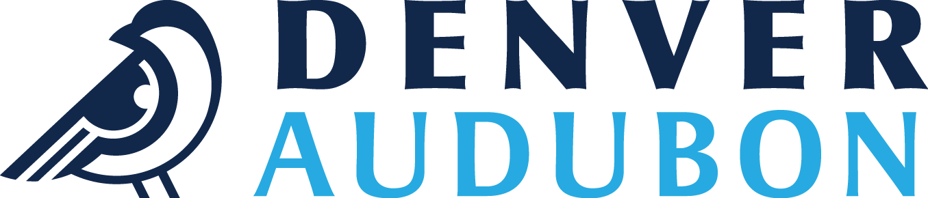 Denver Audubon Logo