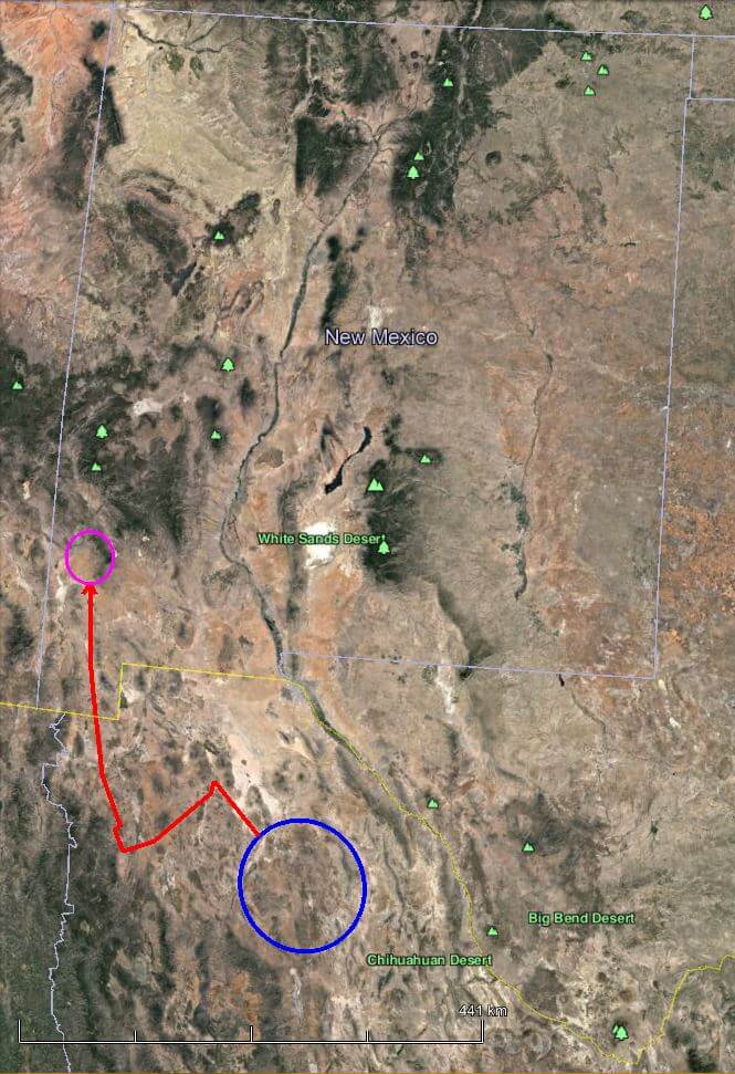 Google Earth map of the journey (red arrow) of the adventurous juvenile from the population in Chihuahua (blue circle) to its current home in New Mexico (magenta circle)
