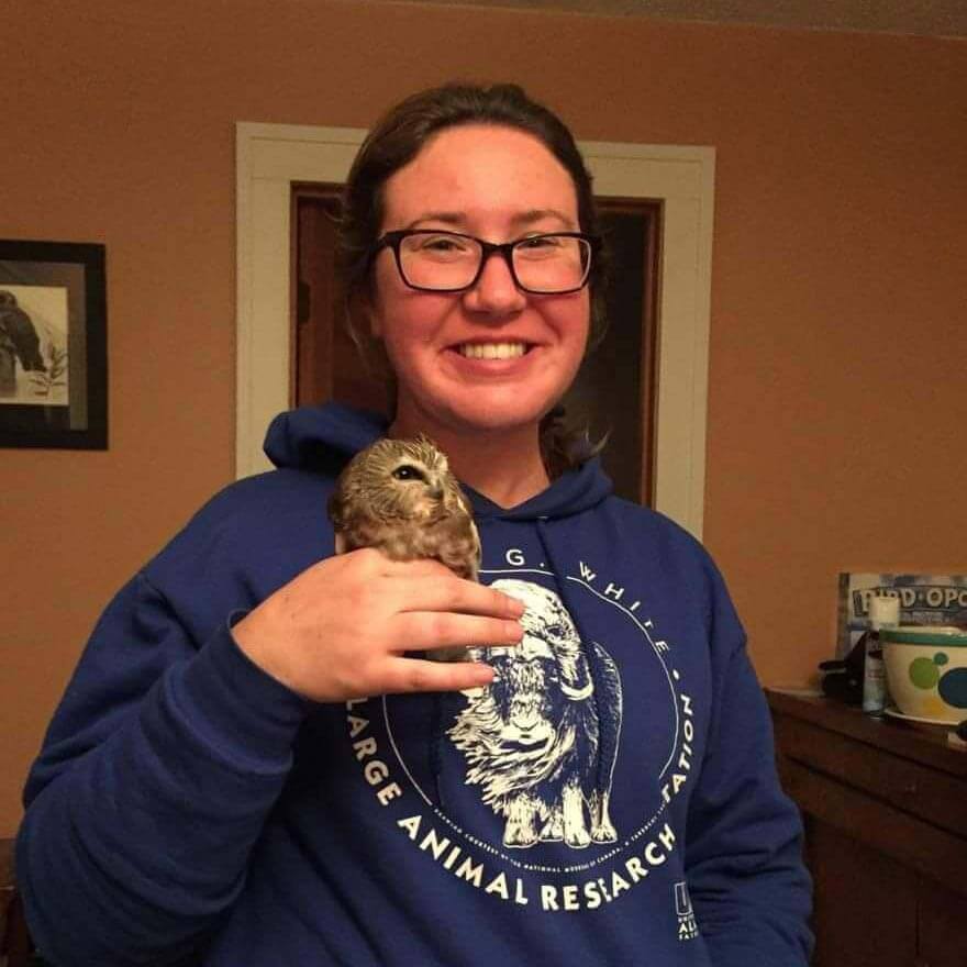 Jenn holding a Saw-whet Owl