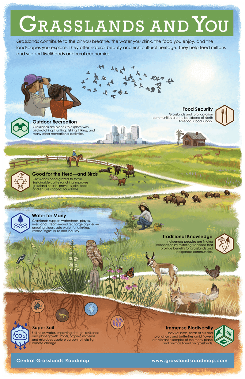 Grasslands and You! – Connecting People, Birds and Land for a Healthy World