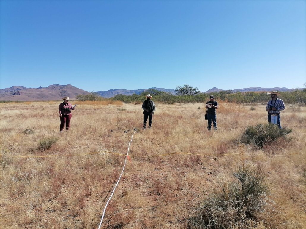 Field crews from Especies, Sociedad y Hábitat, A.C. and Pronatura Noreste, A.C. estimate vegetative cover and identify plant species on one of Bird Conservancy of the Rockies Sustainable Grazing Network ranches in Chihuahua, Mexico. Photo by Annie Hawkinson.