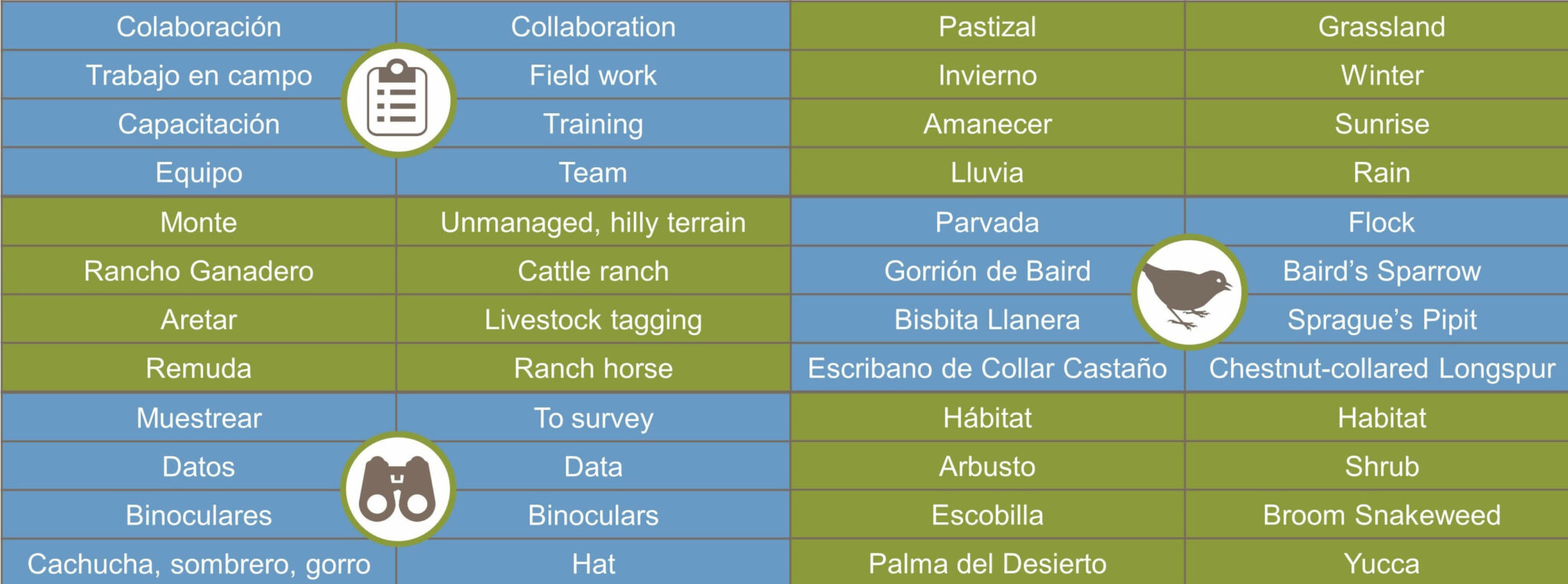 Grid list of words used in field workk, translated between Spanish and English