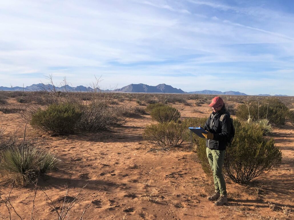 Megan Kruse, a field biologist on the New Mexico, United States crew, records data. Photo by Josh Lefever.