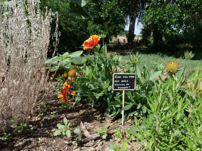 ELC Website Photos-1