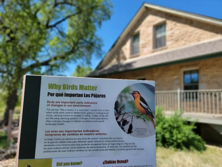 ELC Website Photos-2