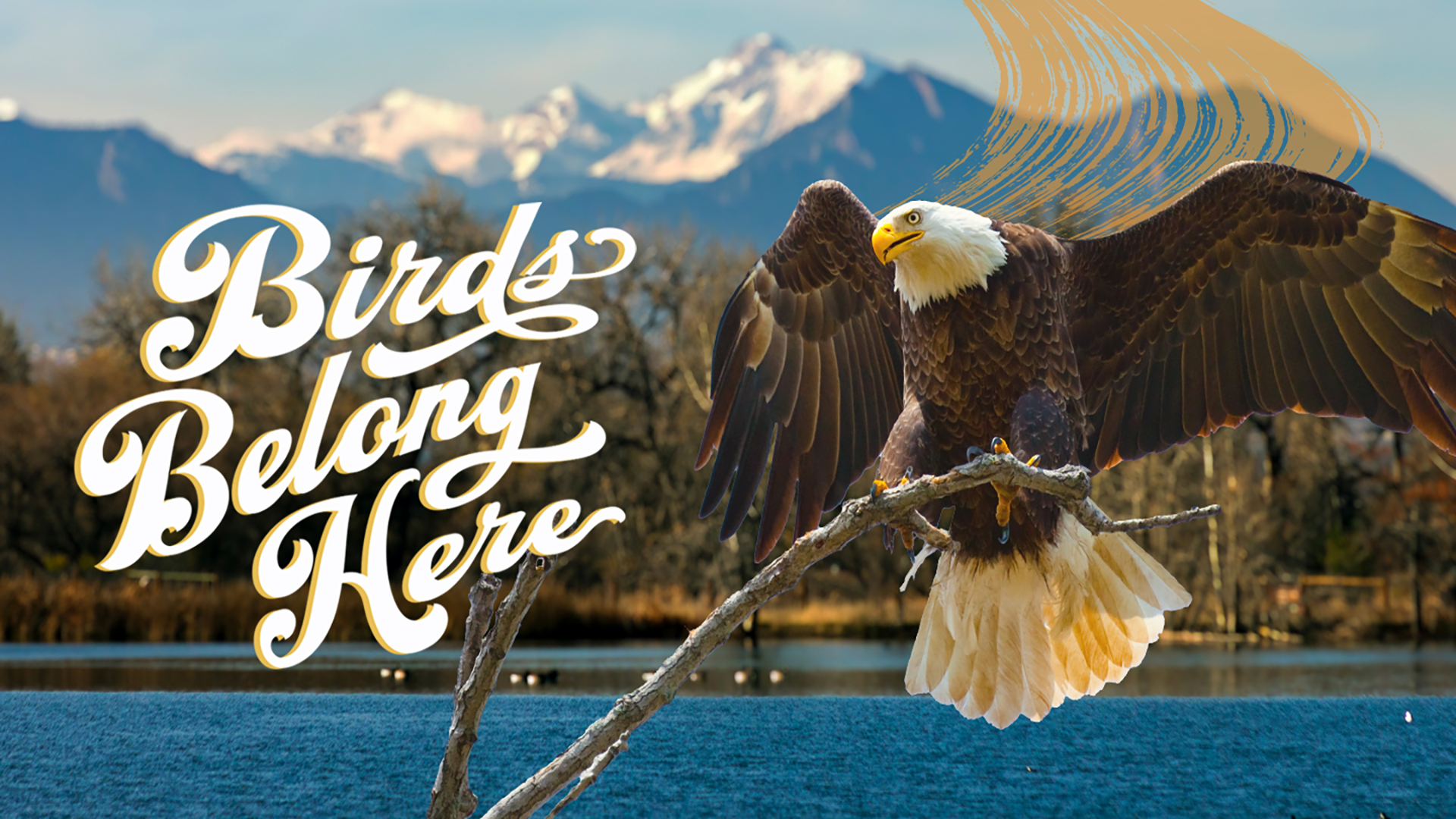 Barr Lake_Eagle_landing page