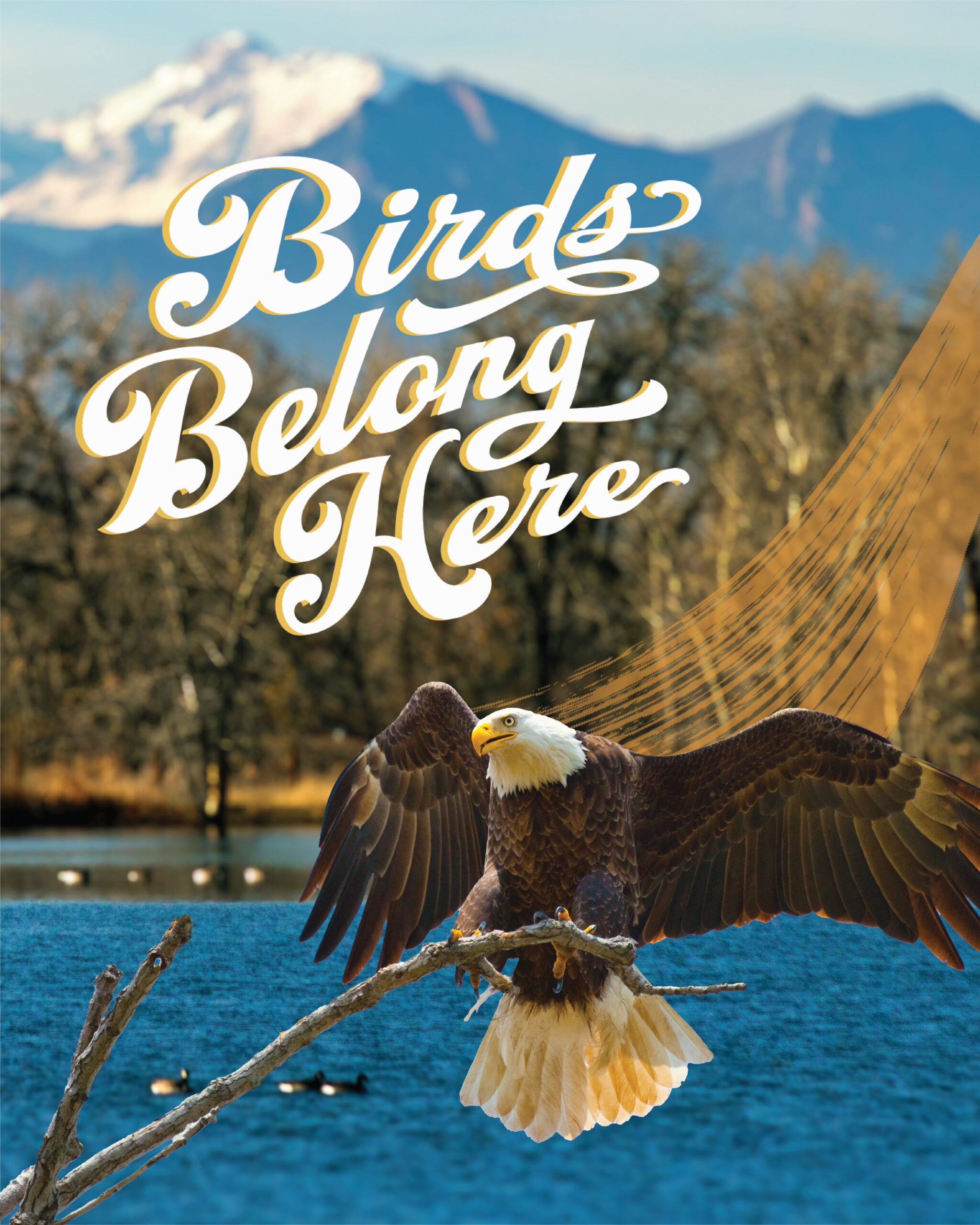 Barr Lake_Eagle_mobile
