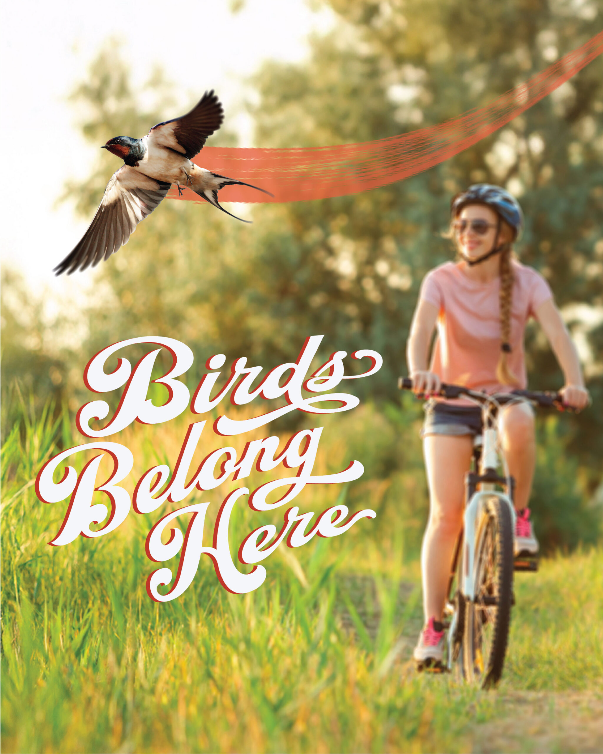 Bike trail_barn swallow_mobile