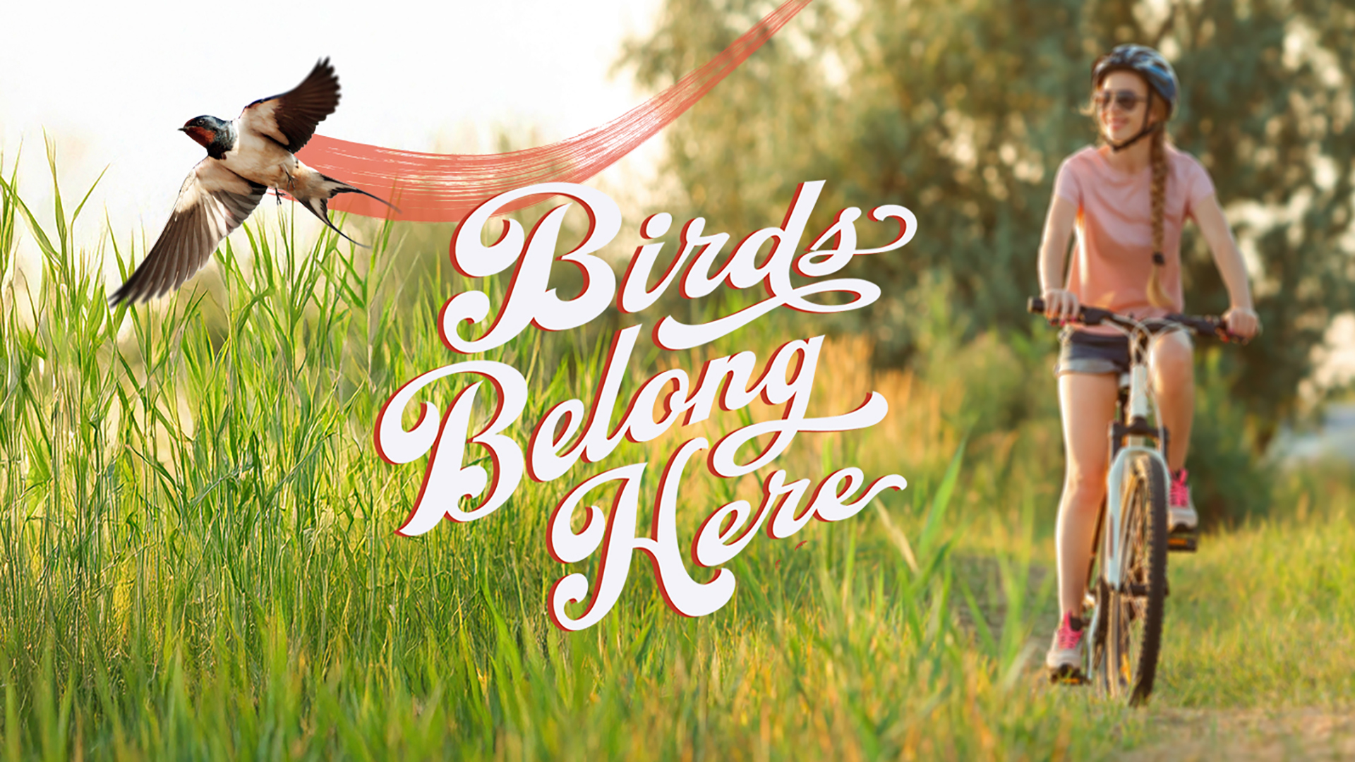Bike trail_swallow_landing page