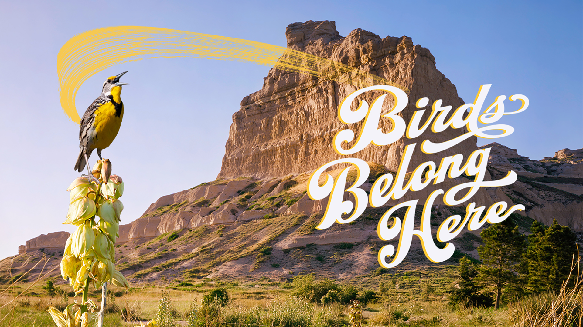 Scottsbluff _meadowlark_landing page