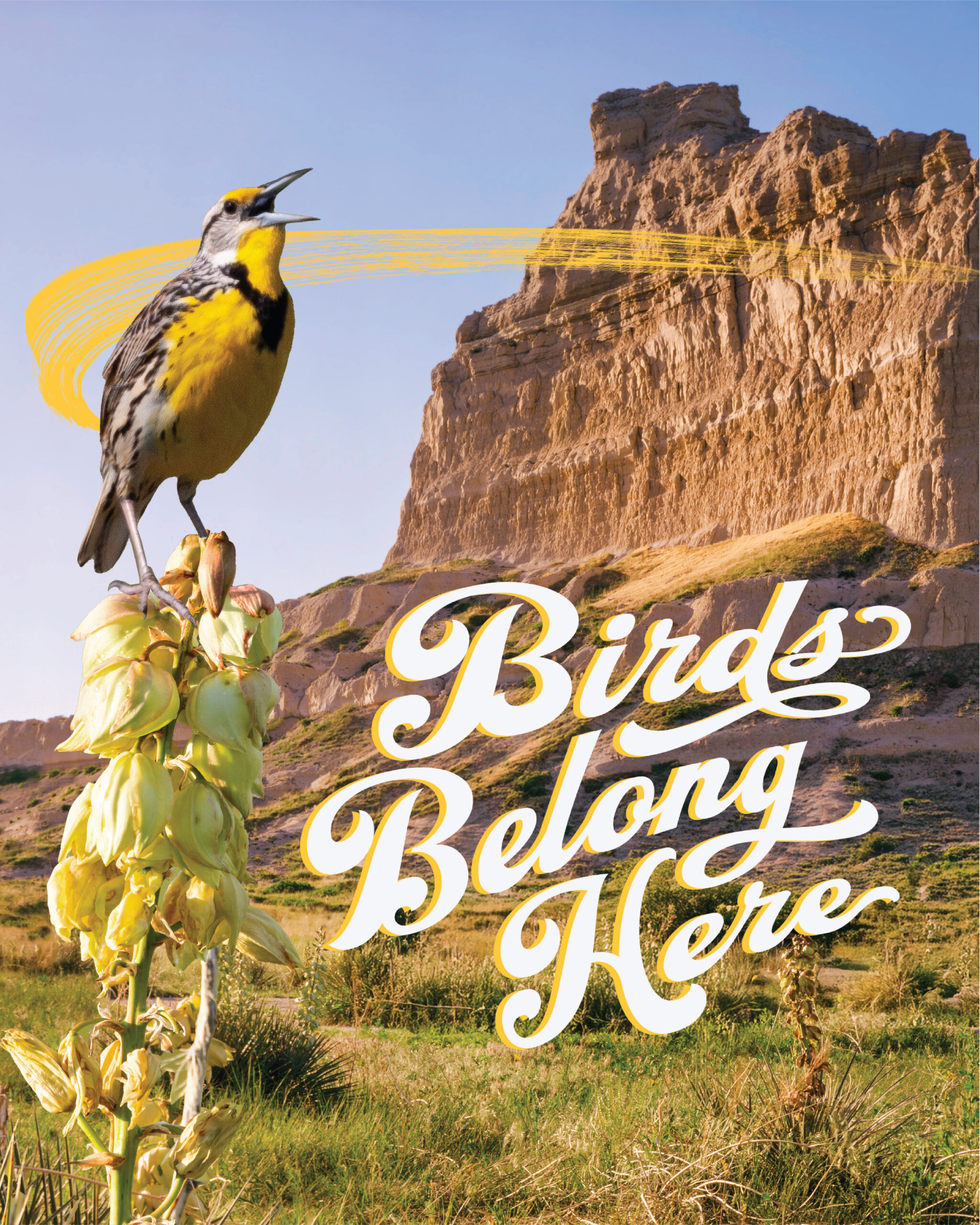 Scottsbluff_meadowlark_mobile