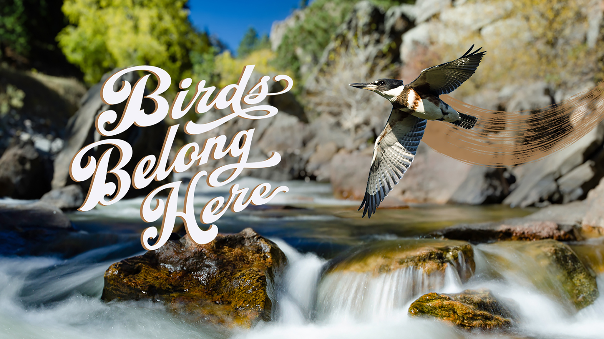 poudre river_king fisher_landing page