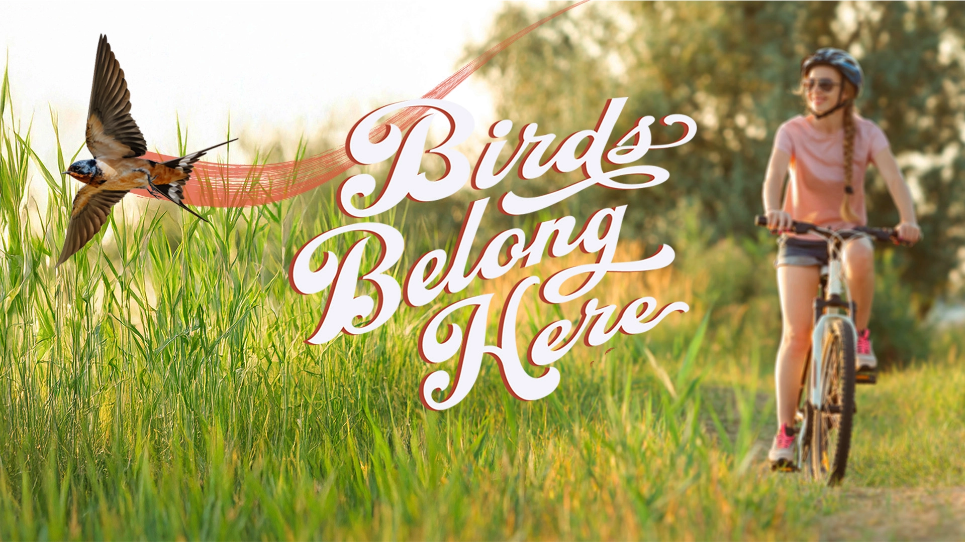 Bike trail_swallow_landing page_NA