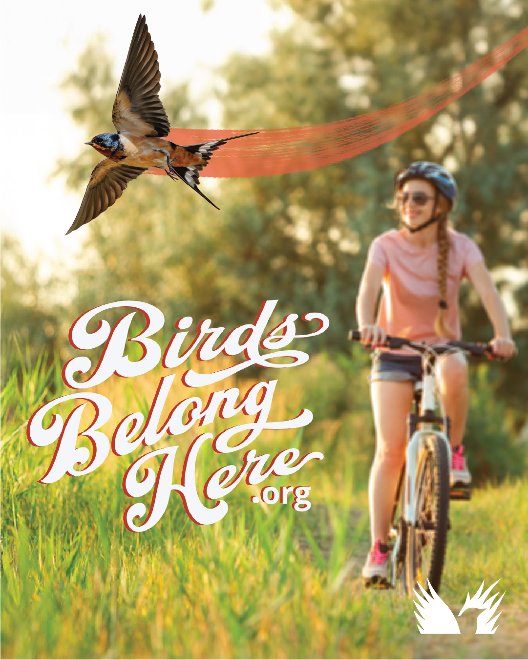 Bike trial_barn swallow_1080x1350_NA