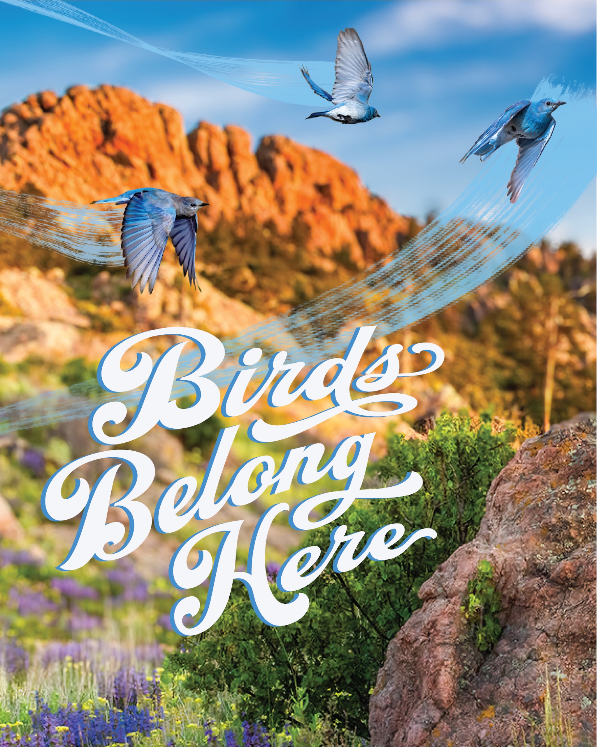 Horsetooth rock_bluebirds_mobile